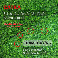 Đơn Vị Chuyên Cung Cấp Thảm Cỏ Uy Tín Chất Lượng Tại Cẩm Mỹ Đồng Nai