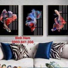 Đơn Vị Chuyên Cung Cấp Tranh Tráng Gương Giá Rẻ Chất Lượng Tại  Long Thành Đồng Nai