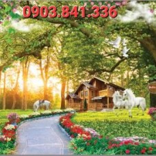 Đơn Vị Nhận Cung Cấp Và Thi Công Tranh Dán Tường 3D Uy Tín Tại Trảng Bom