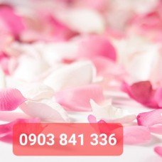 TRANH IN 3D TẠI LONG THÀNH ĐỒNG NAI