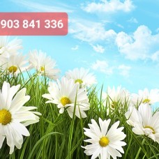 TRANH IN 3D TẠI TÂN PHÚ